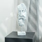 decorative zeus bust sculpture inspired by greek mythology