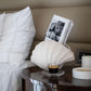 decorative oyster inspired ceramic vase for modern interiors